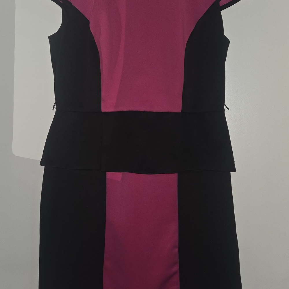 Liz Claiborne Fuchsia and Black Mini Dress